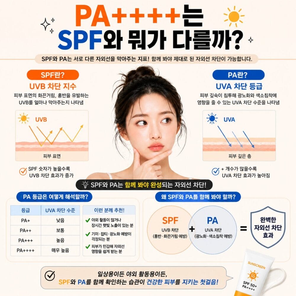 표피에 화상을 입히는 UVB를 막는 SPF와 진피층 광노화를 유발하는 UVA를 막는 PA의 피부 침투 차이를 나타낸 자외선 차단 지수 가이드