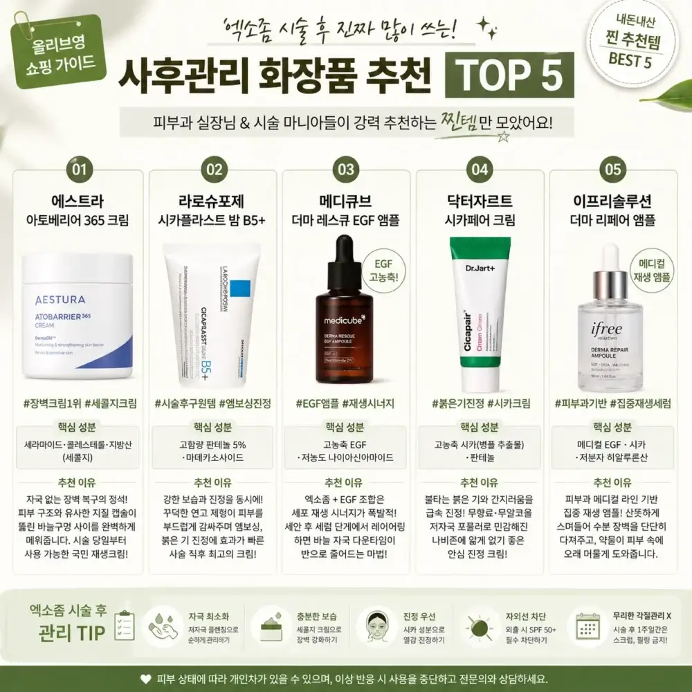 엑소좀 시술 후 관리에 도움되는 올리브영 화장품 추천 TOP5 이미지. 에스트라 아토베리어365 크림, 라로슈포제 시카플라스트 밤 B5+, 메디큐브 EGF 앰플, 닥터자르트 시카페어 크림, 이프리솔루션 더마 리페어 앰플의 특징과 핵심 성분을 비교 정리한 인포그래픽
