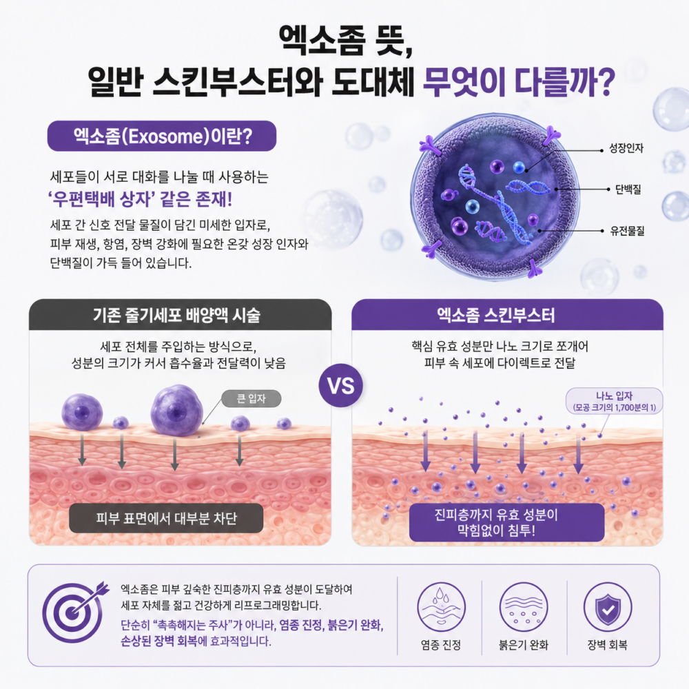 엑소좀 스킨부스터가 피부 세포 재생에 작용하는 과학적 원리를 설명하는 인포그래픽으로, 엑소좀 신호 물질이 손상된 피부 세포에 전달되어 재생과 염증 완화를 돕는 과정을 단계별로 보여주는 이미지